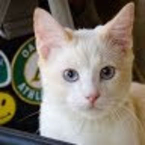 Meet your Posher, Mike